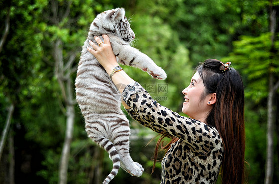 妇女养着婴儿白发老虎动物白色女性幼兽野生动物豹属荒野女孩图片