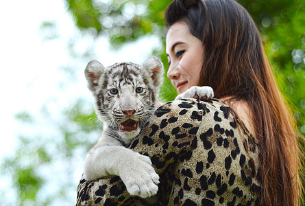 妇女养着婴儿白发老虎豹属白色女孩荒野幼兽女性野生动物动物图片