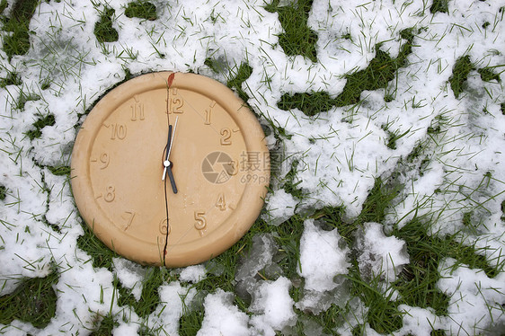 雪中白钟脸图片