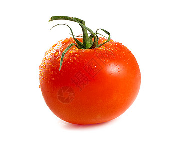 白色背景的西红柿水果背景图片
