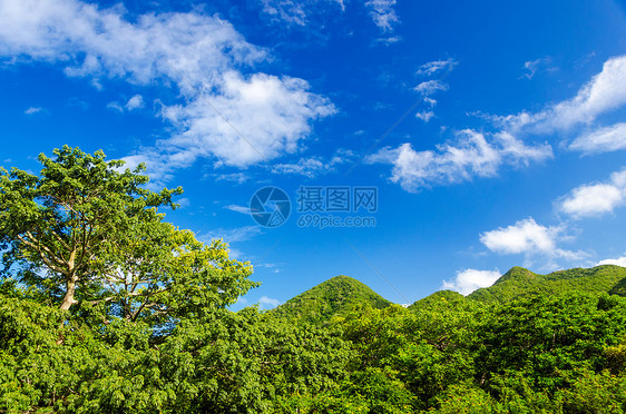 绿山和蓝天空棕榈丘陵空地风景爬坡蓝色树木天空绿色图片