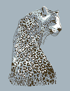 妇女猫科动物装饰品凶手投标食肉艺术丛林创造力绘画插图图片
