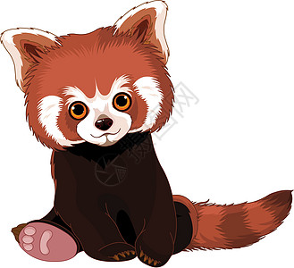 可爱的红熊猫绘画免版税插图动物园艺术毛皮哺乳动物乐趣动物小狗图片