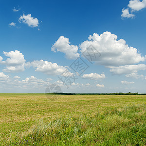 蓝云天空和绿草太阳天气场地国家植物阳光土地环境季节场景图片