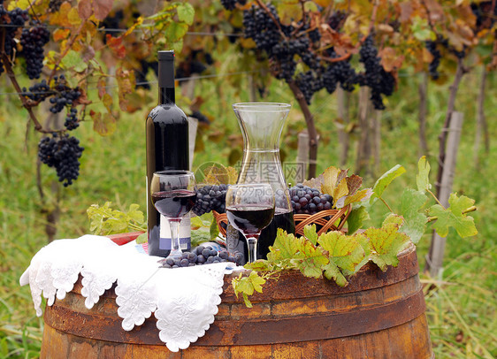 葡萄园和葡萄酒篮子酒杯水果乡村黄色饮料红色瓶子静物叶子图片