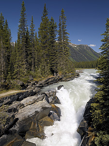 努马瀑布 - 不列颠哥伦比亚省 - 加拿大图片