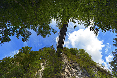 意大利Tarvisio的SlizzaGailitz峡谷蓝色木头绿色分支机构公园松树荒野叶子森林天空图片
