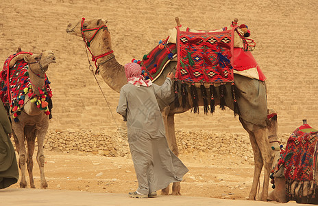 开罗Khafre金字塔附近带骆驼的贝都因人风暴考古学人面异位素大篷车狮身石头风景沙漠纪念碑图片