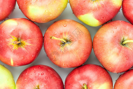 新鲜红苹果特写工作室照片食物白色农场摄影蔬菜收获宏观水果图片