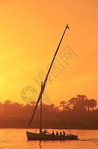 Felucca船在日落时在尼罗河上航行 卢克索海岸汽艇沙漠运输城市血管巡航剪影帆船太阳图片