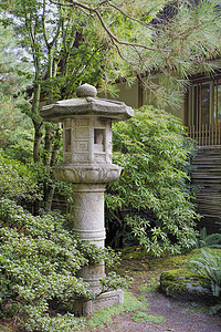 花园景观中的日本石绿灯侠雕塑灯笼园林石头苔藓院子花岗岩树木树叶叶子图片