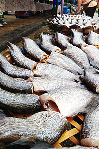 干蛇皮黑瓜米鱼烹饪钓鱼动物美食饮食盐渍海鲜食物市场文化图片