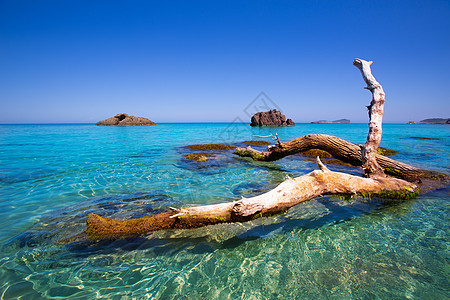 海滩 圣尤拉利亚空白岩石树干旅游运河支撑海景天空地标石头图片