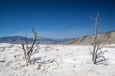 哺乳动物温泉台喷发蒸汽猛犸砂岩梯田侵蚀烧结火山地质石灰华图片