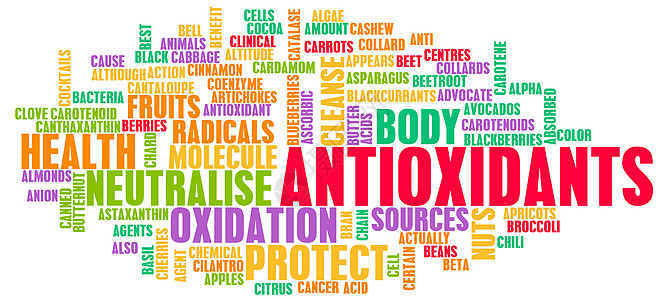 抗氧化剂维生素补充产品来源词云老化营养概念尖端疾病图片