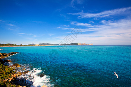 巴利阿里奇群岛的和悬崖假期海洋波浪小岛晴天旅行天空蓝色海岸图片