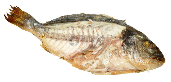 食用鲜肉鱼饮食营养海洋白色收成鲷鱼尾巴海鲜午餐图片