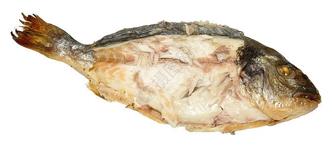 食用鲜肉鱼鲷鱼午餐尾巴饮食海洋海鲜营养白色收成图片