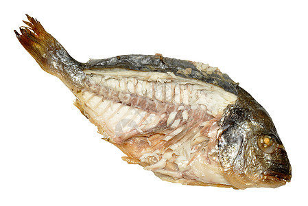 食用鲜肉鱼海洋营养饮食白色海鲜收成尾巴鲷鱼午餐图片
