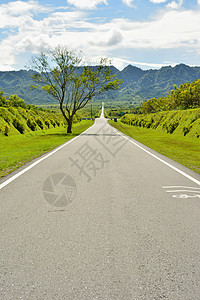 农村道路和乡村地貌绿色场地土地美丽风景城市植物爬坡农场蓝色图片