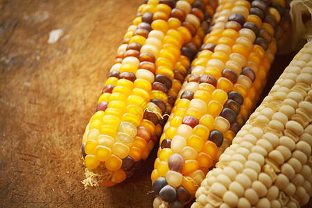玉米种子生长饮食粮食金子食物营养生产植物农场蔬菜图片