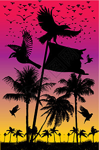 黑人背景鸟类生命矢量艺术植绒森林羽毛家禽季节打印迁移航班绘画天堂图片
