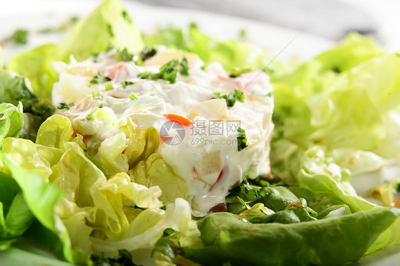 新鲜沙拉和美味的加奶饮食午餐美食熟食盘子咖啡店营养食物餐厅绿色图片