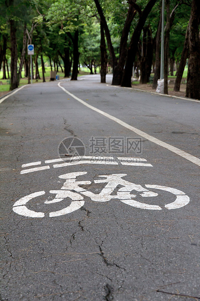 公园中的自行车车道地面城市运动人行道旅行街道安全驾驶途径路标图片