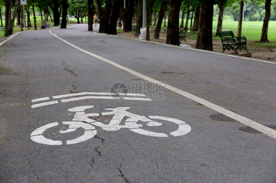 自行车车道城市驾驶运输街道途径环境安全人行道路标运动图片