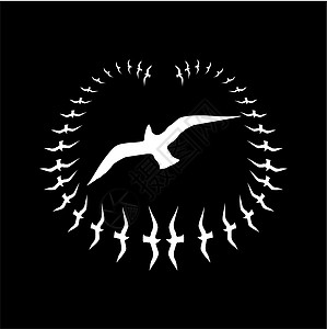 黑人背景鸟类生命矢量艺术动物家禽生活森林编队航班插图团体剪影野生动物图片