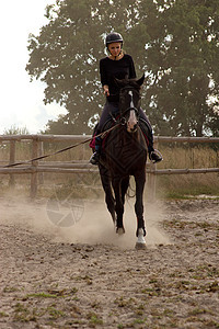 女孩乘坐火车骑士动物马背竞赛骑师马术农场灰尘头盔喜悦图片
