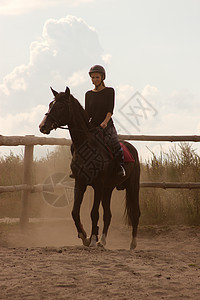 女孩乘坐火车女士踪迹骑师小跑学习动物骑士农场马术喜悦图片