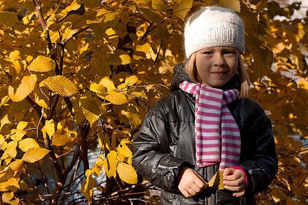 秋天公园的可爱女孩微笑乐趣森林喜悦孩子季节环境女性叶子衣服图片