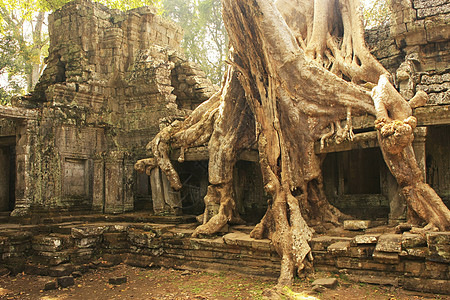 Preah Khan寺庙 吴哥地区 暹粒石头文化圣训收获热带纪念碑木头高棉语梧桐树遗产图片