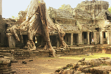 Preah Khan寺庙 吴哥地区 暹粒世界丛林梧桐树高棉语古董建筑文化废墟圣训历史性图片