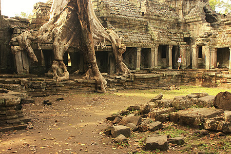 Preah Khan寺庙 吴哥地区 暹粒文明纪念碑历史性梧桐树圣训废墟高棉语木头遗产收获图片