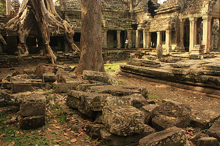 Preah Khan寺庙 吴哥地区 暹粒植物古董废墟历史性圣训热带文化高棉语世界丛林图片