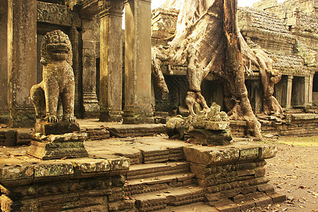 Preah Khan寺庙 吴哥地区 暹粒文明高棉语纪念碑圣训地标热带废墟建筑学丛林历史性图片