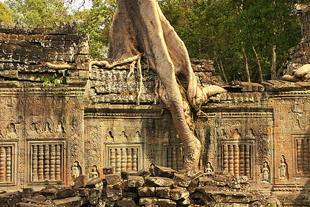 Preah Khan寺庙 吴哥地区 暹粒木头热带世界古董建筑文明纪念碑收获废墟石头图片