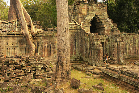 Preah Khan寺庙 吴哥地区 暹粒废墟木头纪念碑丛林遗产建筑古董世界石头热带图片