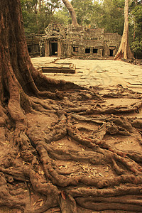 Tapromh寺庙 吴哥地区 暹粒历史性地标荒野高棉语旅游古董收获丛林生长热带图片