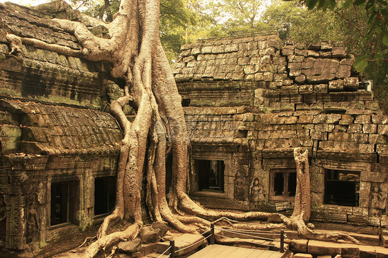 Tapromh寺庙 吴哥地区 暹粒丛林木头遗产石头植物世界纪念碑地标建筑旅行图片