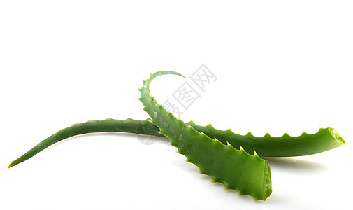 Aloe Vera 白白孤立植物芦荟化妆品沙漠洗剂愈合治疗绿色奶油药品水滴图片