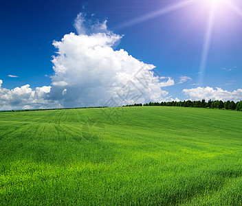 绿绿地季节太阳天空天堂牧场地平线农村远景草地晴天图片