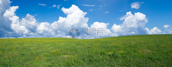 绿绿地场景场地草地农村牧场晴天生长季节草原蓝色图片