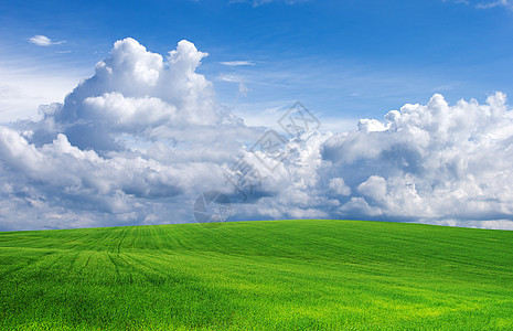 字段土地场地草原季节植物天堂太阳天气蓝色场景图片