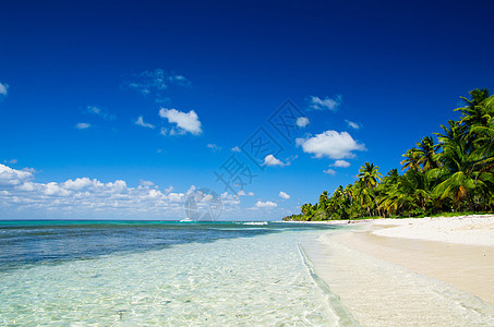 热带海洋海浪棕榈海岸线波纹气候日落地平线天空椰子旅行图片