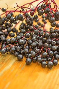 长莓黑色食物水果植物季节药品长老图片