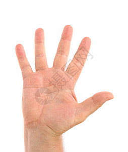五根手指 男人的手展示白色适应症拳头皮肤信号数字指针拇指力量图片