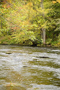 瀑布的风景与河流季节树木破坏活力淡水绿色图片